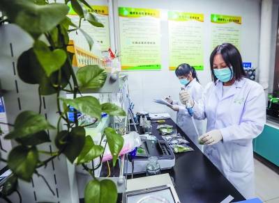 集贸市场|“菜篮子”越拎越舒心，农产品越吃越放心