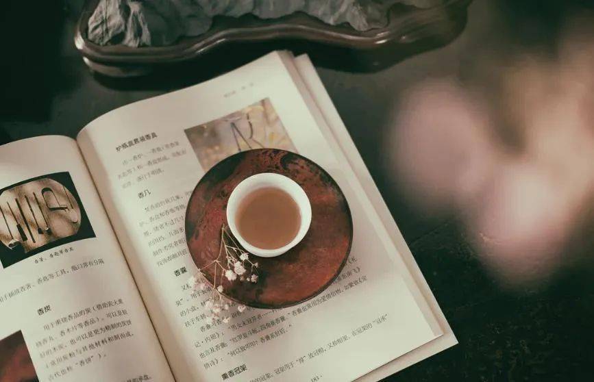 这才叫知己(感动)