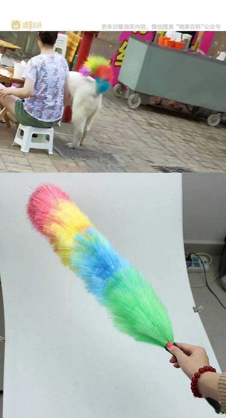 一个鸡毛掸子和一盆花猜成语_鸡毛掸子图片