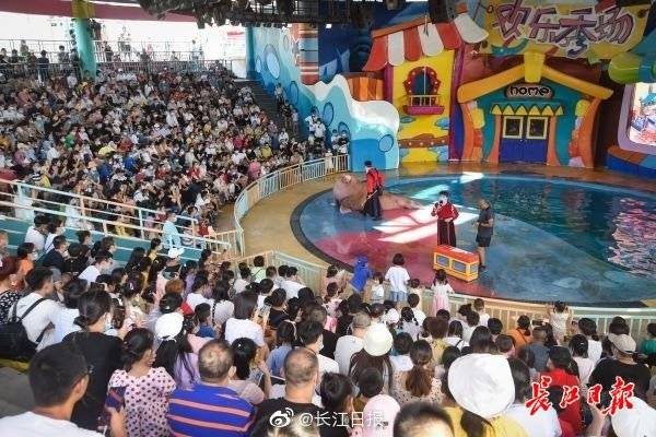 游客|打卡武汉海昌极地海洋公园