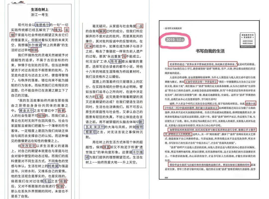 作文|遭实名举报被调查！裁判与教练怎能同任？浙江满分作文阅卷组长陈建新