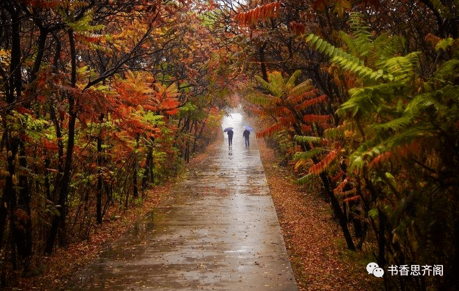 第280期「为你读诗」|《初秋的雨》作者:远方 朗诵:宿