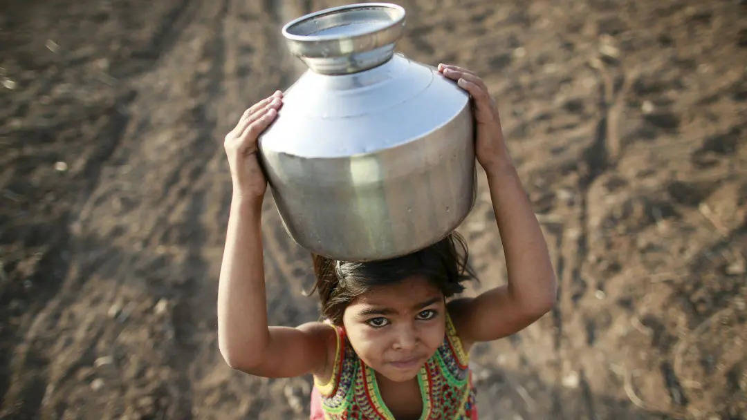 农业|读懂本星球：印度耕地面积比中国还多，为何粮食产量却不及中国的一半？