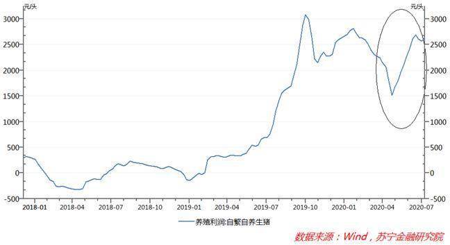 猪肉价格为啥老是涨个没完？