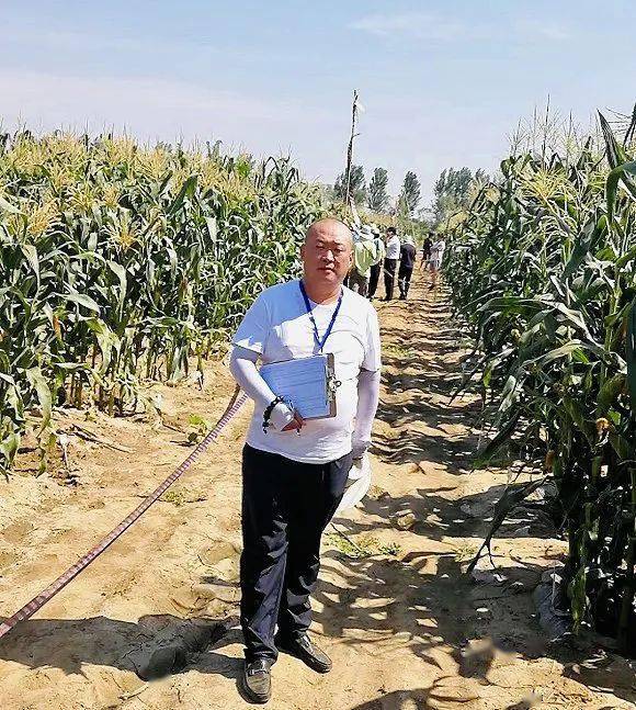 大王|新发地开门了：瓜果蔬菜大王重装上阵