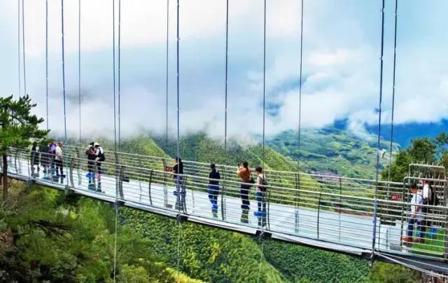 【会员活动】8月23号出发打卡衡山花果山景区 玻璃吊桥一日游