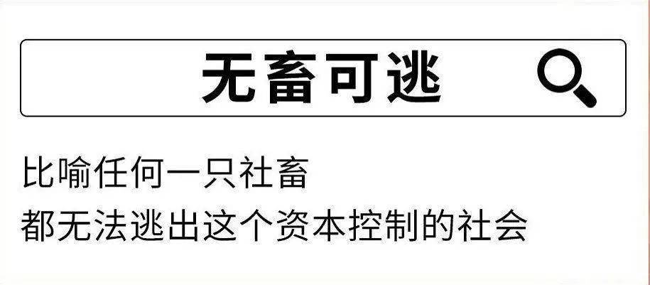 成语空什么口_成语故事手抄报(3)