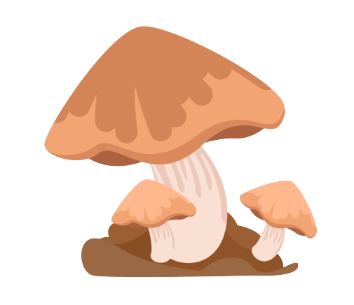 ba4bfa32b3f441609dc62c86d7636374.png