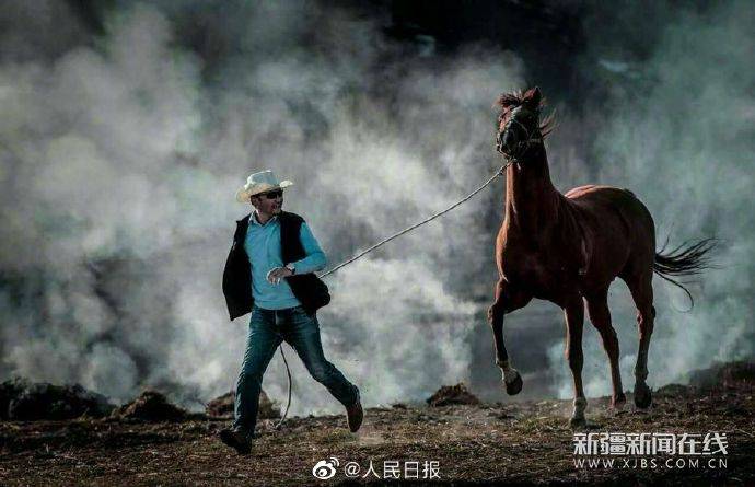 马主|新疆马主向福建救人马主捐赠伊犁马