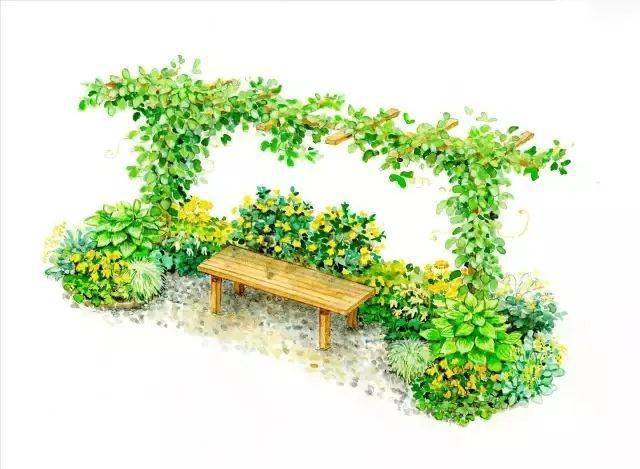 101款手绘花园院子(植物小景)