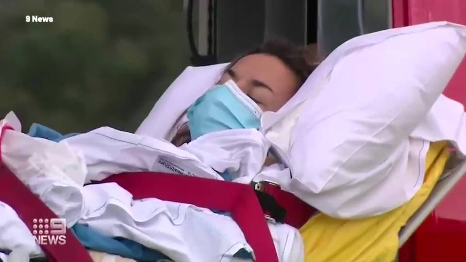 妻子被3米长大白鲨袭击咬伤大腿 丈夫英勇还击