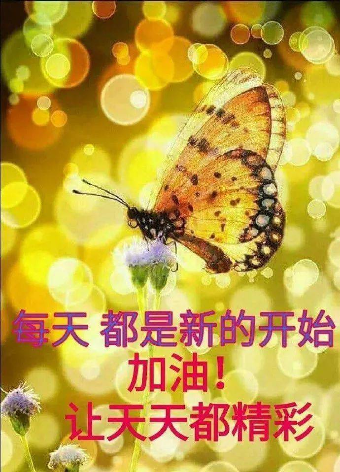 我家的钟儿会唱歌简谱_我唱歌儿骑着马图片