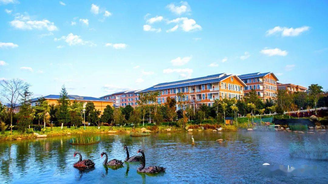 2020年保山市中考成_保山中医专2020年毕业生升学与就业工作取得阶段性