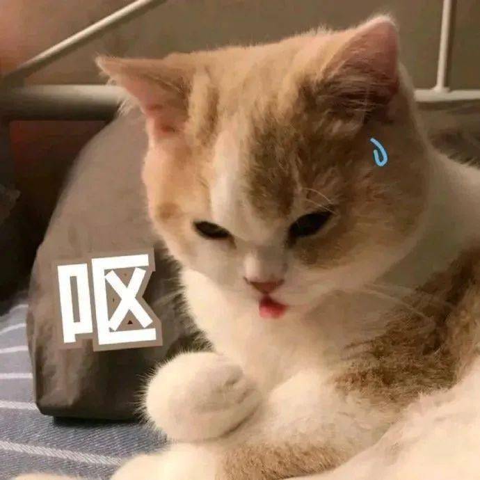 每日可爱表情包|理我一下,不然我很尴尬