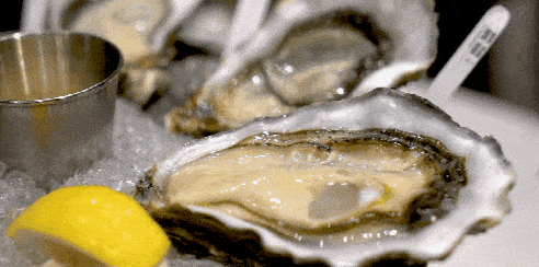 3779b82fff95469c98cefffe0843db87.gif