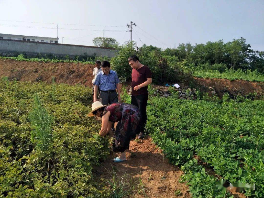 南阳最美医生淅川县医德标兵裴建锋坚守医德仁心诠释奉献担当