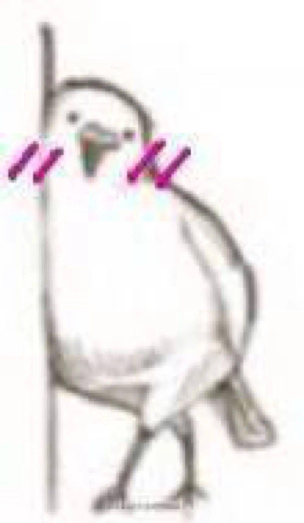 美人|彩妆博主人手一盘的UD眼影，究竟是真好用还是纯跟风？！