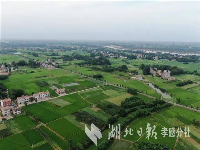 辛榨乡位于安陆南部,东抵府河,西邻应城市杨河镇,南接云梦县胡金店镇