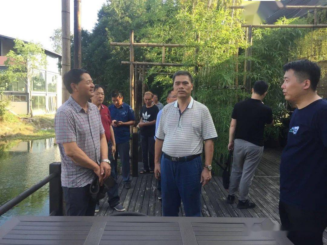 金华市园林花木行业联合会考察夏溪花木市场