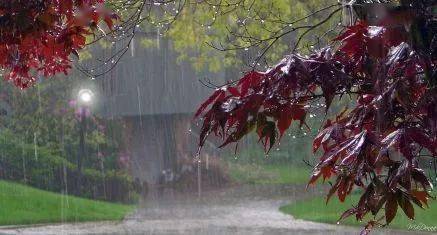 唯美朗诵 | 在秋雨中,等待你的回眸