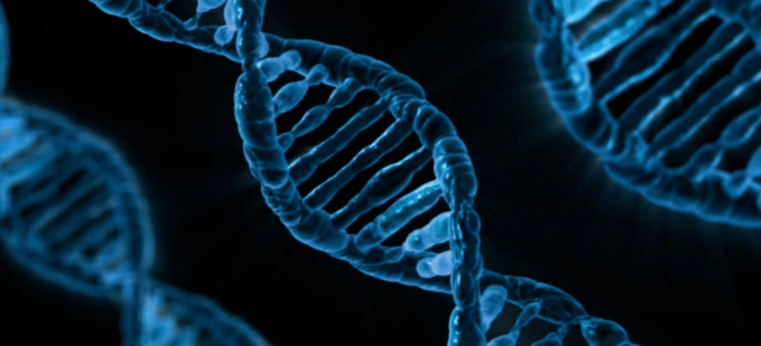 谢园|61岁演员谢园突发心脏病去世！猝死到底能不能防？