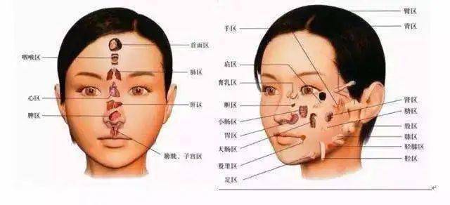 喝什么对肠胃功能有好处 878541a00bd44a1a9296a64794690015.jpeg