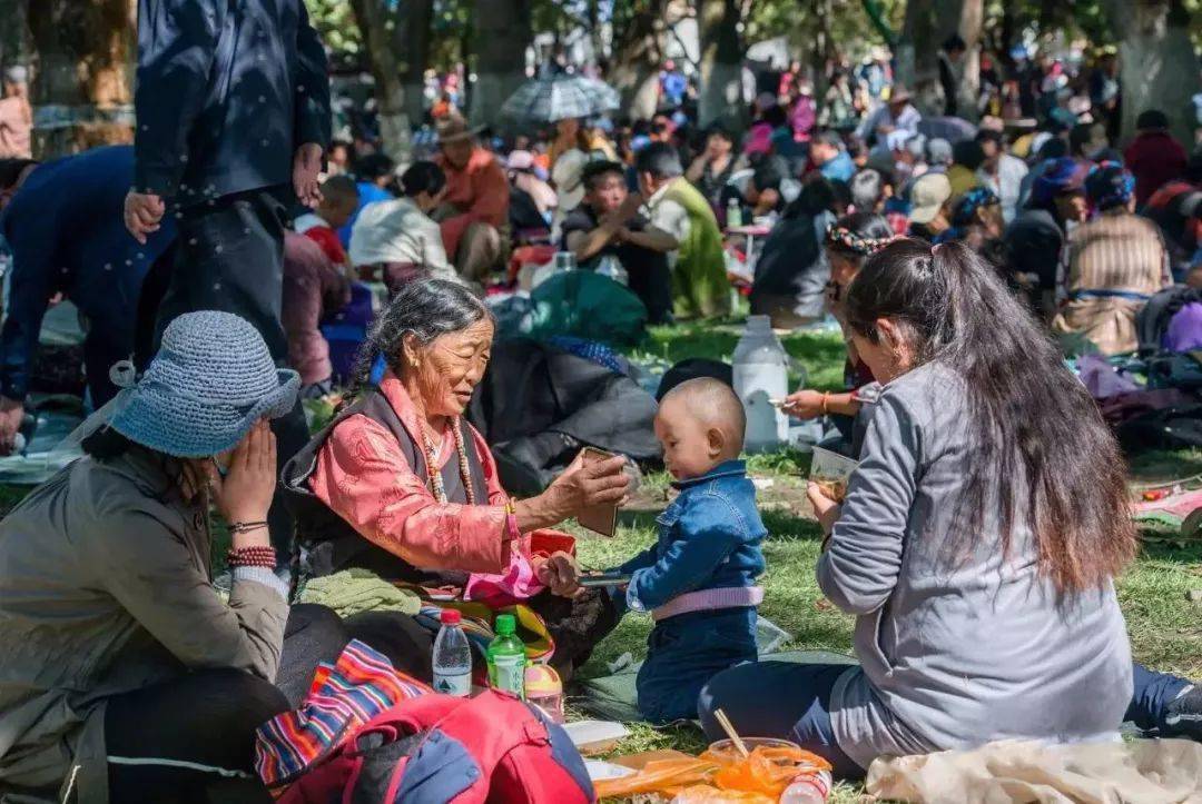 2020年中国拉萨雪顿节活动调整(内附活动指南)_酸奶