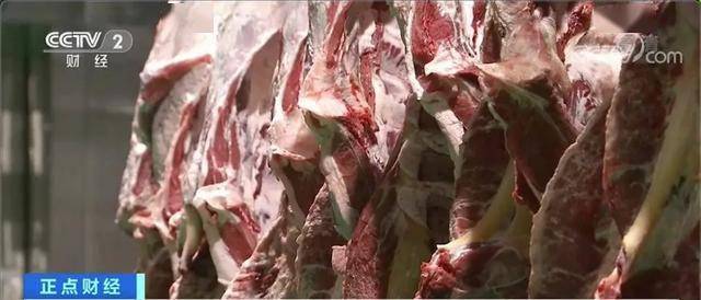 白万玉|养一头牛，纯赚5000元！牛肉价格连涨9周，达历史高位！还会再涨吗？
