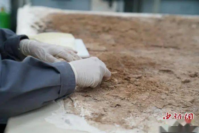 为美|唐代女子以胖为美？杨贵妃：不是，我没有，别瞎说