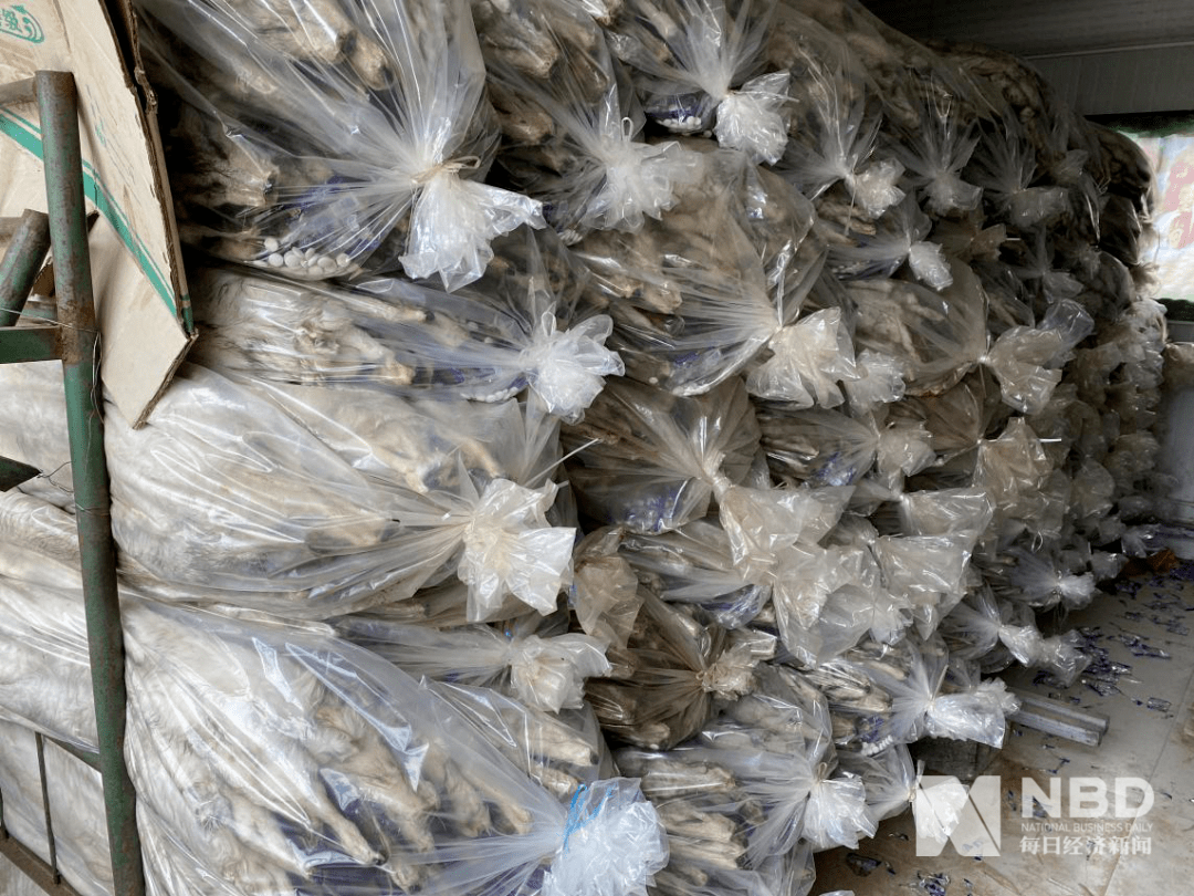 黄金|奢侈品之皮草调查丨昔日“软黄金”，如今价如“草”！