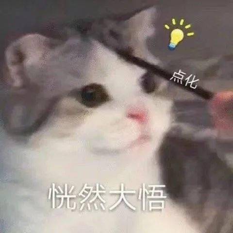 3bd35f26815c4360a59629c3416bf5e4.jpeg