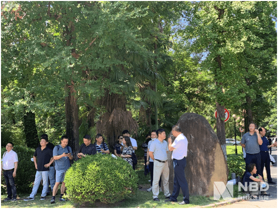 报价|第三批药品集采现场：近200家药企肉搏，有品种报价1分钱，有品种降价90%