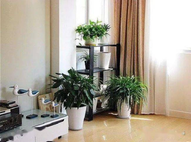 配饰|不一样的配色与形式,家居配饰中的那些小搭配!|北京回龙观装修