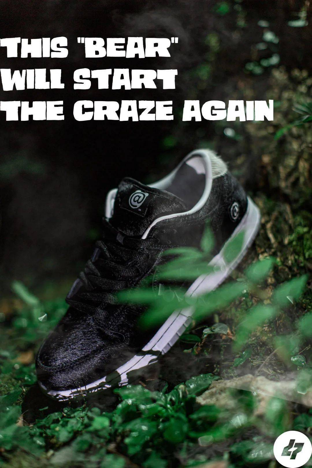 Dunk|这只“熊”将再度掀起热潮