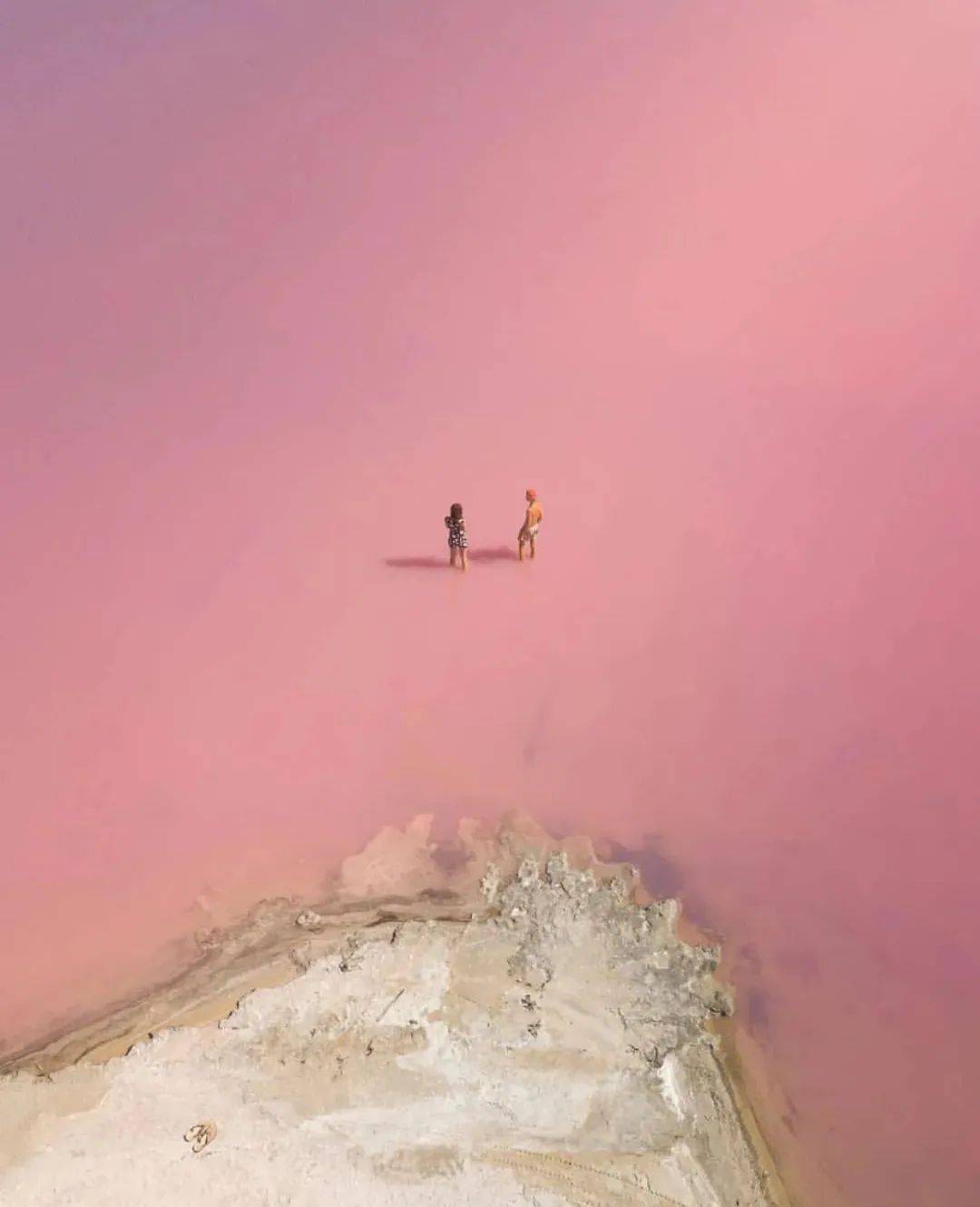 粉色|梦幻七夕，我和粉色香水有个约会！