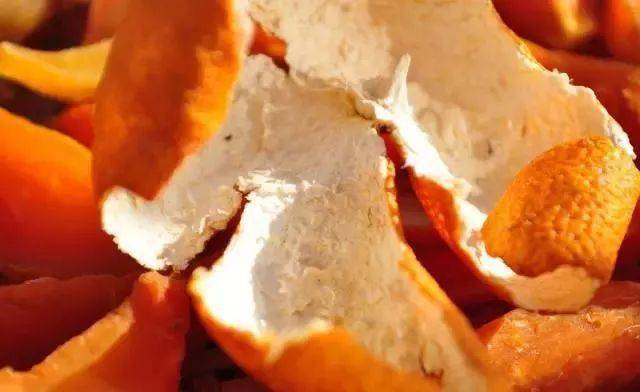 东西|这12种天天往出扔的东西居然是个宝，感觉自己扔了一个亿万万没想到