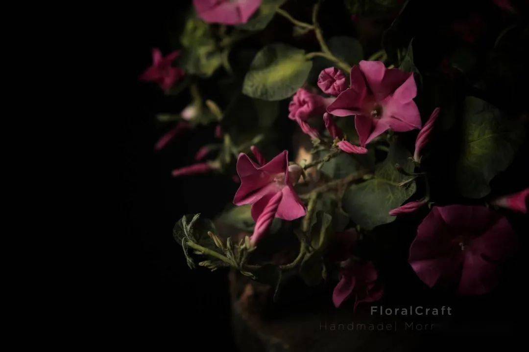d5ca69f916ed4c48bc6d0e19462546b9.jpeg