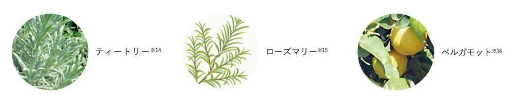 头皮|明星贵妇们都钟爱的洗护到底有什么不一样？