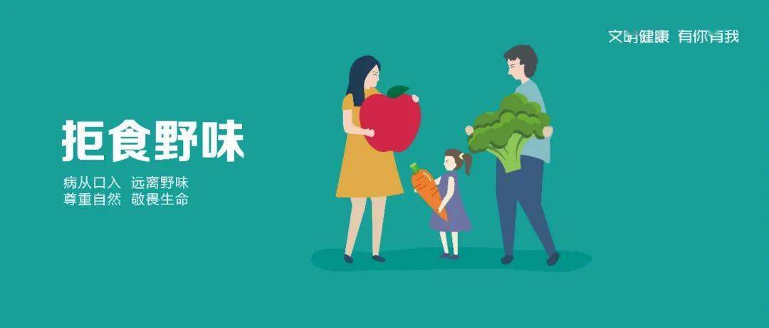 如何拥有健康的生活 9bd22a06726c465b842bd1220b74be16.jpeg