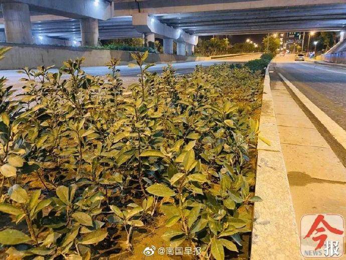 道路被淹,积水退后发现遗体!广西一女子回家