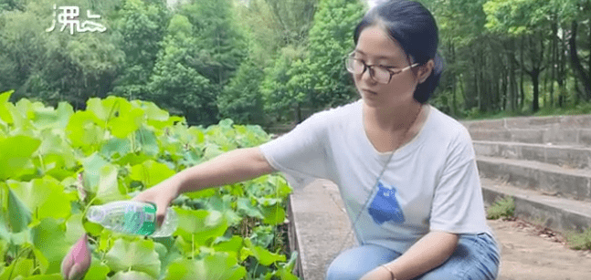 北大|201万年薪天才被吹捧：对不起，你误会他们了！676分北大女孩遭群嘲