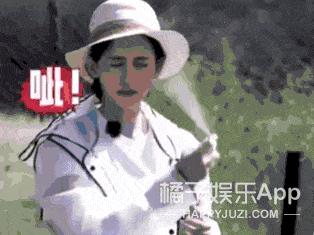 橘子|从丑小鸭到白天鹅，她经历了什么？