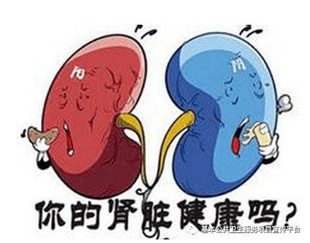 患者|【健康教育处方】泌尿系统常见疾病健康教育处方