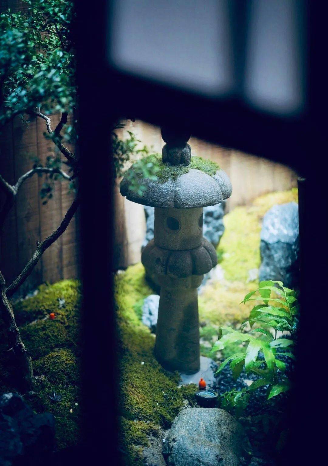 淡然,坦然.