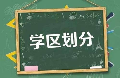 九江2020中考学校排名_九江镇2020年中考成绩亮点多