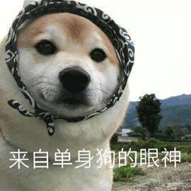 bc03b62f75a843caa5c71b33ee7aaacb.jpeg