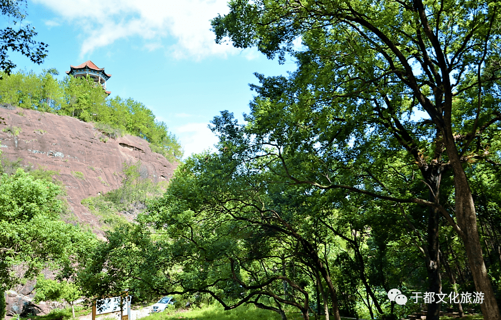 罗田岩森林公园,朵朵莲花迎客来!
