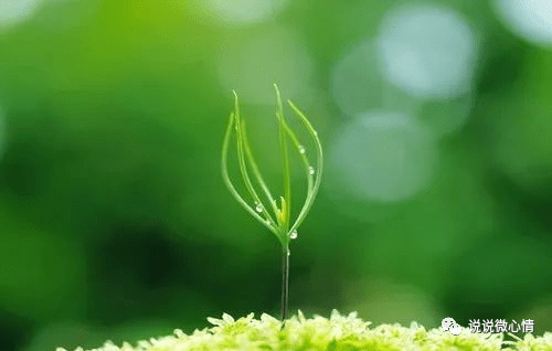 0317b002f5694a81ba1fe0353db16361.png
