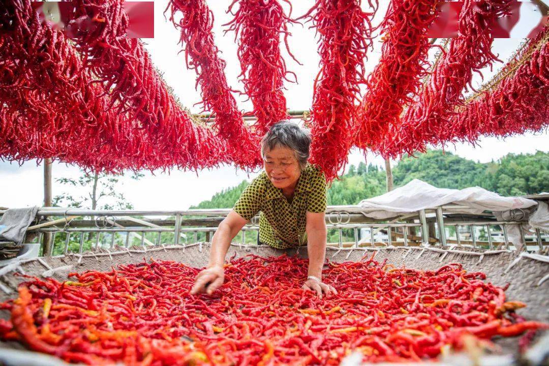 毕节市有多少人口