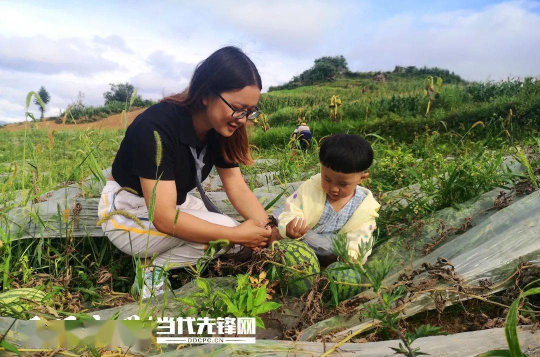 大方:试种西瓜结硕果 鼓足群众信心